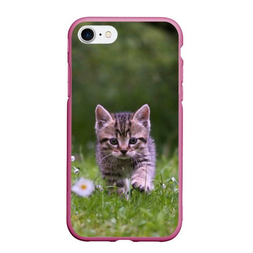 Чехол для iPhone 7/8 матовый Котенок на траве, цвет малиновый