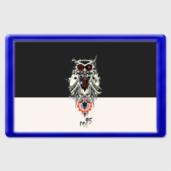Магнит 45*70 Owl