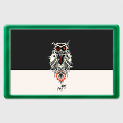 Магнит 45*70 Owl