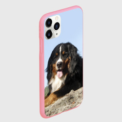Чехол для iPhone 11 Pro Max матовый Бернский зенненхунд - фото 2