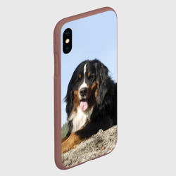 Чехол для iPhone XS Max матовый Бернский зенненхунд - фото 2