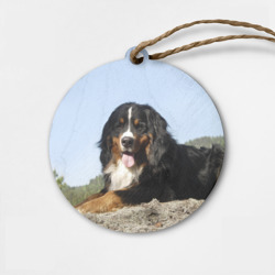 Деревянная игрушка круг Бернский зенненхунд