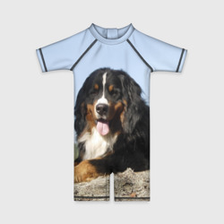Детский купальный костюм 3D Бернский зенненхунд