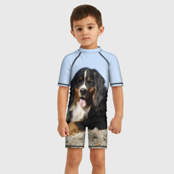 Детский купальный костюм 3D Бернский зенненхунд - фото 2