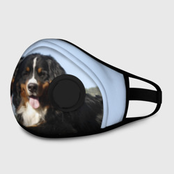 Маска из неопрена Бернский зенненхунд