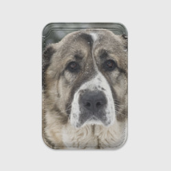 Картхолдер Magsafe магнитный САО алабай