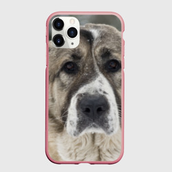 Чехол для iPhone 11 Pro Max матовый САО алабай