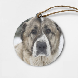 Деревянная игрушка круг САО алабай