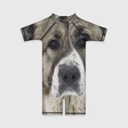 Детский купальный костюм 3D САО алабай