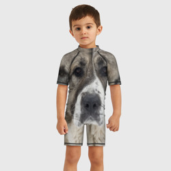Детский купальный костюм 3D САО алабай - фото 2