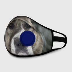 Маска из неопрена САО алабай