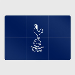 Магнитный плакат 3Х2 Tottenham Hotspur
