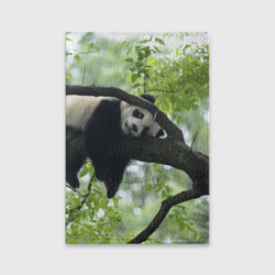 Обложка для паспорта матовая кожа Панда спит на ветке