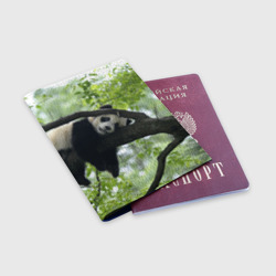 Обложка для паспорта матовая кожа Панда спит на ветке - фото 2