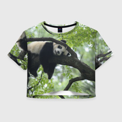 Женская футболка Crop-top 3D Панда спит на ветке