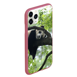Чехол для iPhone 11 Pro Max матовый Панда спит на ветке - фото 2