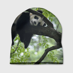 Шапка 3D Панда спит на ветке