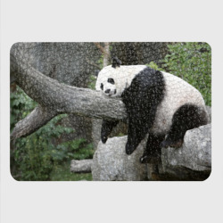 Картхолдер с принтом Большая уставшая панда - фото 2