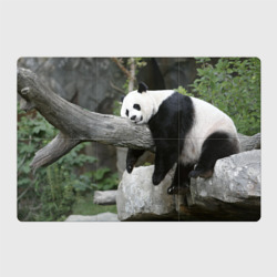 Магнитный плакат 3Х2 Большая уставшая панда