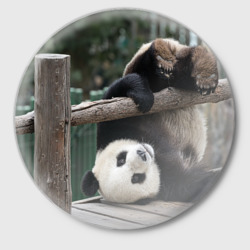 Значок Паркур панда