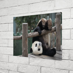 Холст прямоугольный Паркур панда - фото 2