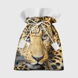 Подарочный 3D мешок Леопард