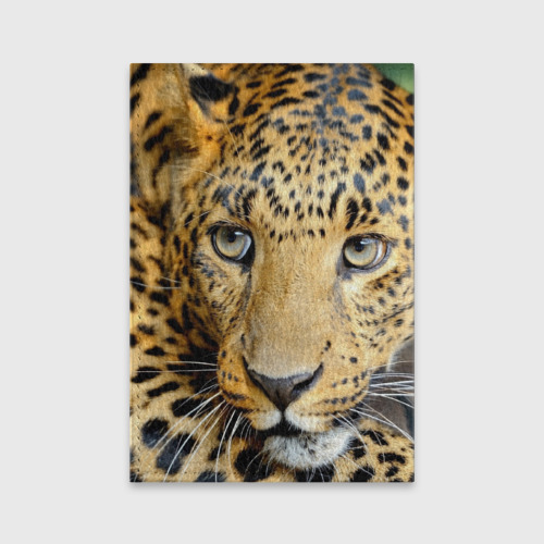 Обложка для паспорта матовая кожа Леопард, цвет пыльно-розовый - фото 2