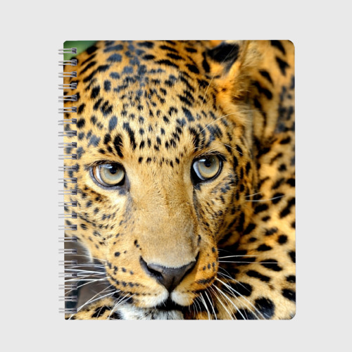 Тетрадь Леопард, цвет точка