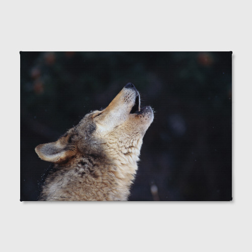 Холст прямоугольный Вой серого волка, цвет 3D печать - фото 2
