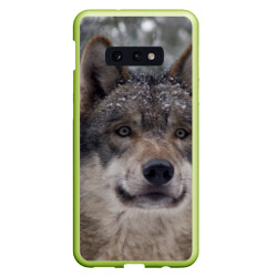 Чехол для Samsung S10E Серый волк