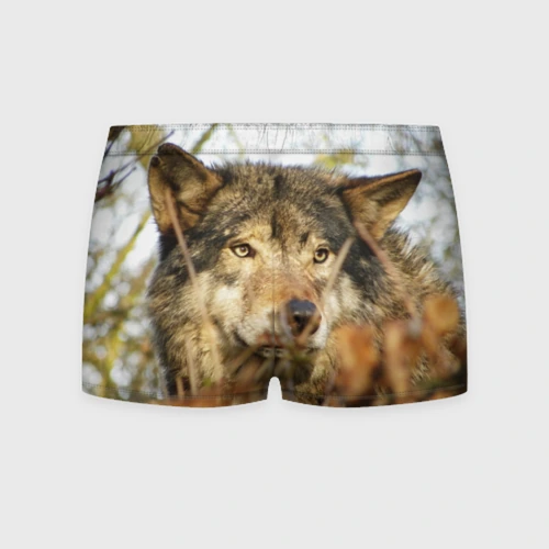 Трусы с рисунком волка