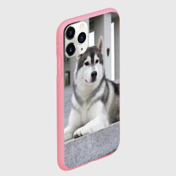 Чехол для iPhone 11 Pro Max матовый Волчья парода - фото 2