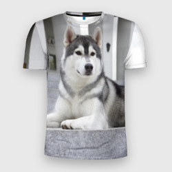 Мужская футболка 3D Slim Волчья парода