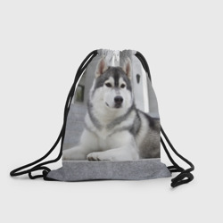 Рюкзак-мешок 3D Волчья парода
