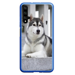 Чехол для Honor 20 Волчья парода