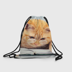 Рюкзак-мешок 3D Кот ученый