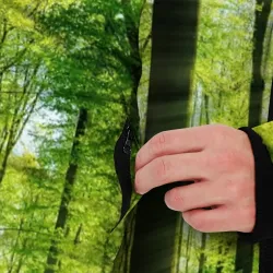 Мужская зимняя куртка 3D Солнечный лес - фото 6