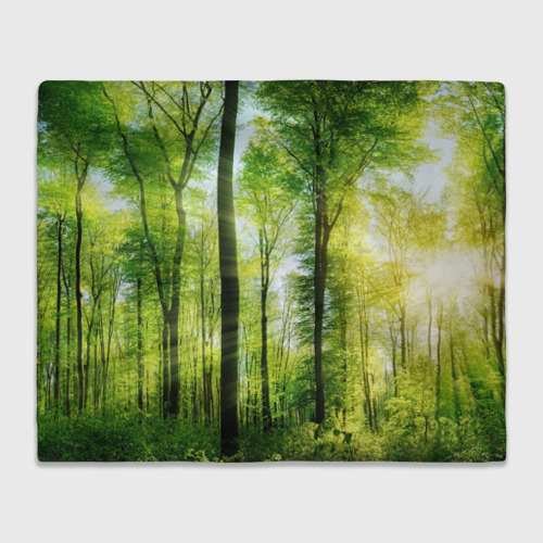 Плед 3D Солнечный лес, цвет 3D (велсофт)