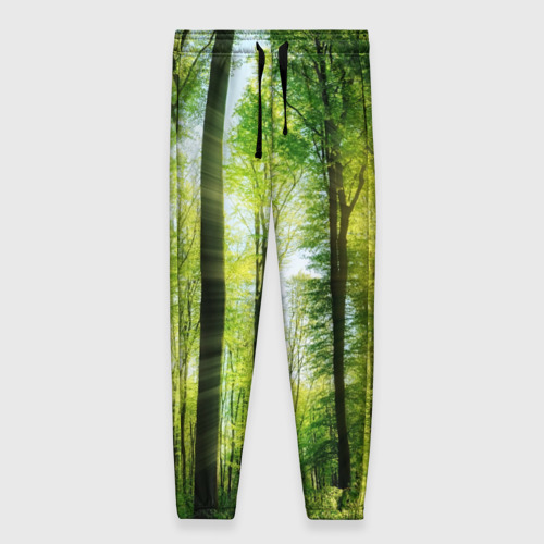 Женские брюки 3D с принтом Солнечный лес, вид спереди #2