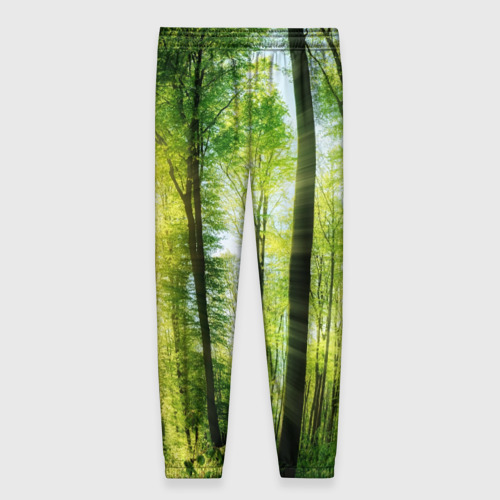 Женские брюки 3D с принтом Солнечный лес, вид сзади #1