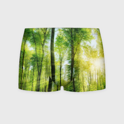 Мужские трусы 3D Солнечный лес