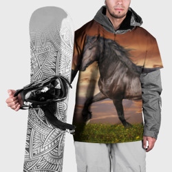Накидка на куртку 3D Черный конь