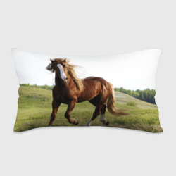 Подушка 3D антистресс Лошадь
