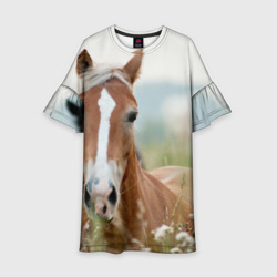 Детское платье 3D Лошадь