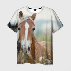 Мужская футболка 3D Лошадь