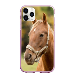 Чехол для iPhone 11 Pro Max матовый Лошадь