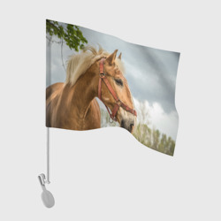 Флаг для автомобиля Лошадка