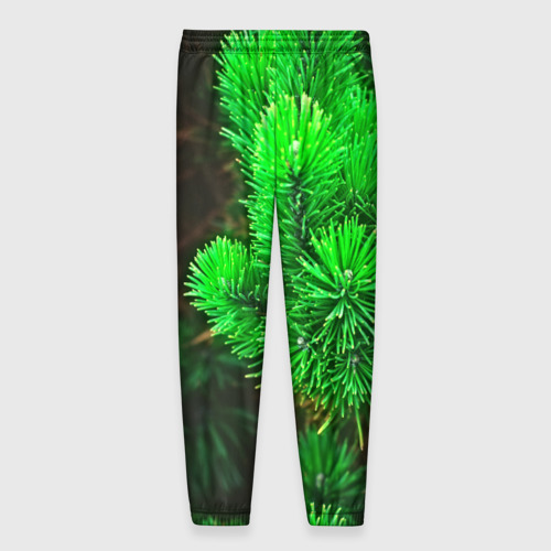 Мужские брюки 3D Зелёная ель, цвет 3D печать - фото 2