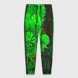 Мужские брюки 3D Зелёная ель