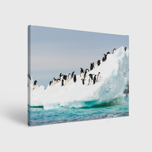 Холст прямоугольный Пингвины на айсберге, цвет 3D печать